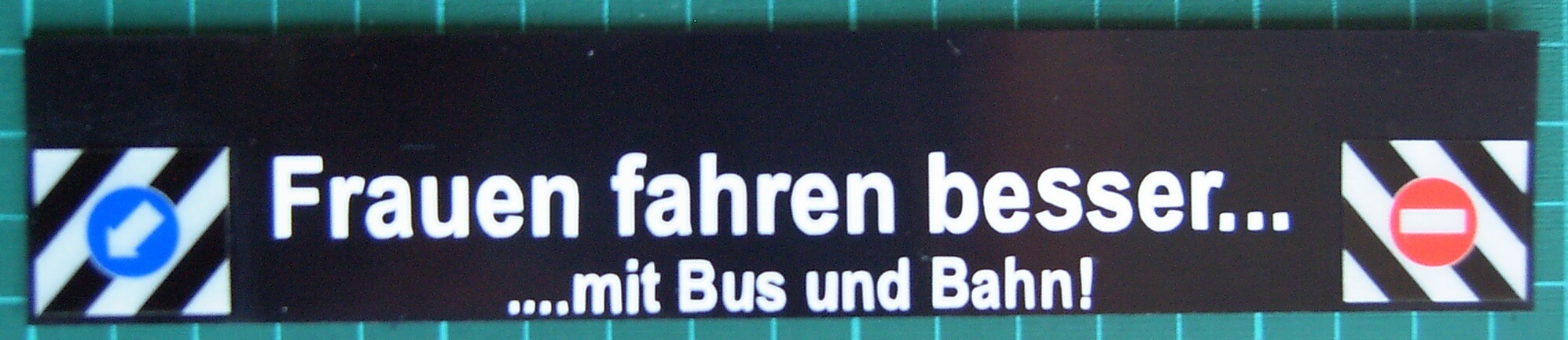 1 Schmutzfänger Nr.31 ca. 185x35x1mm mit geplottetem Text   