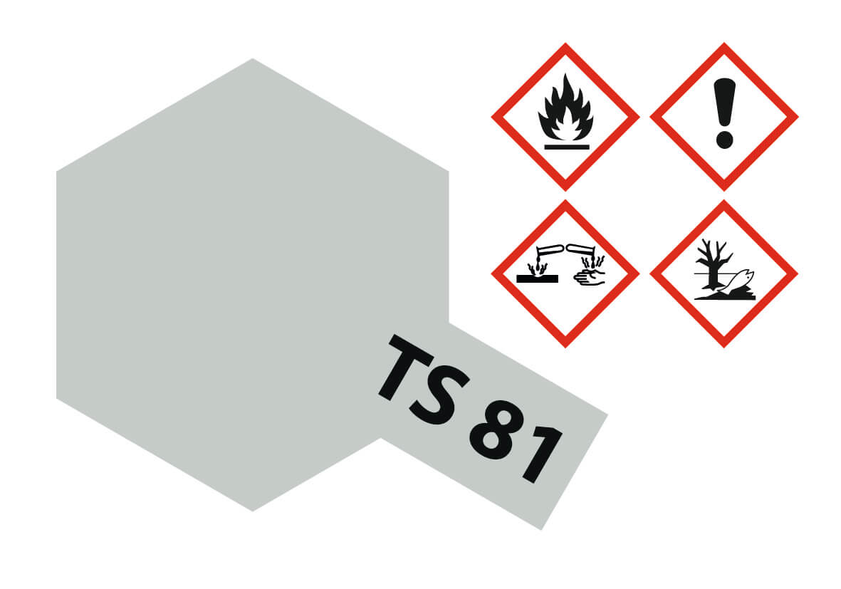 1x Sprühlack-Dose 100ml, British Navy-Grau, matt, TS-81