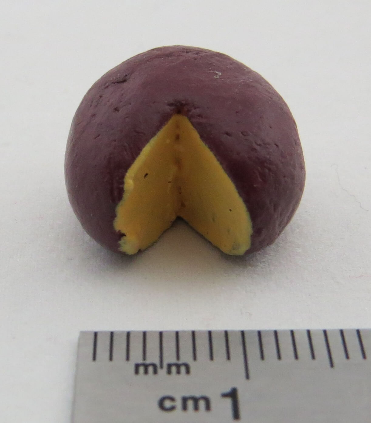 1 Käselaib, dunkel ca. 15mm Durchmesser.