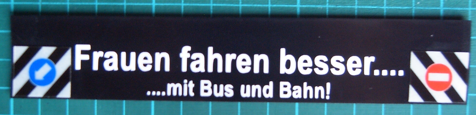 1 Schmutzfänger Nr.31 ca. 160x30x1mm mit geplottetem Text   