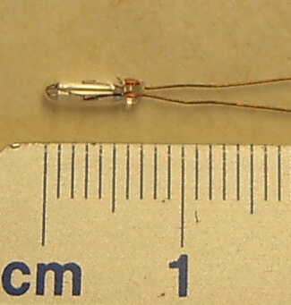 Birnchen 10V/45mA. Bis max. 12V/55mA!!!  Glasdurchmesser ca