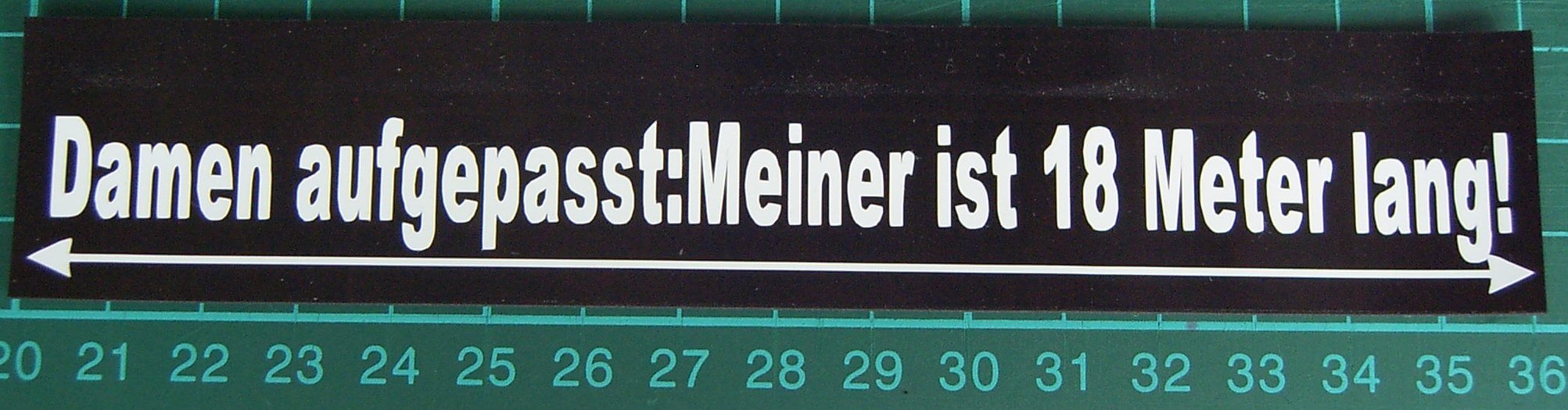 1 Schmutzfänger Nr.20 ca. 160x30x1mm mit geplottetem Text   